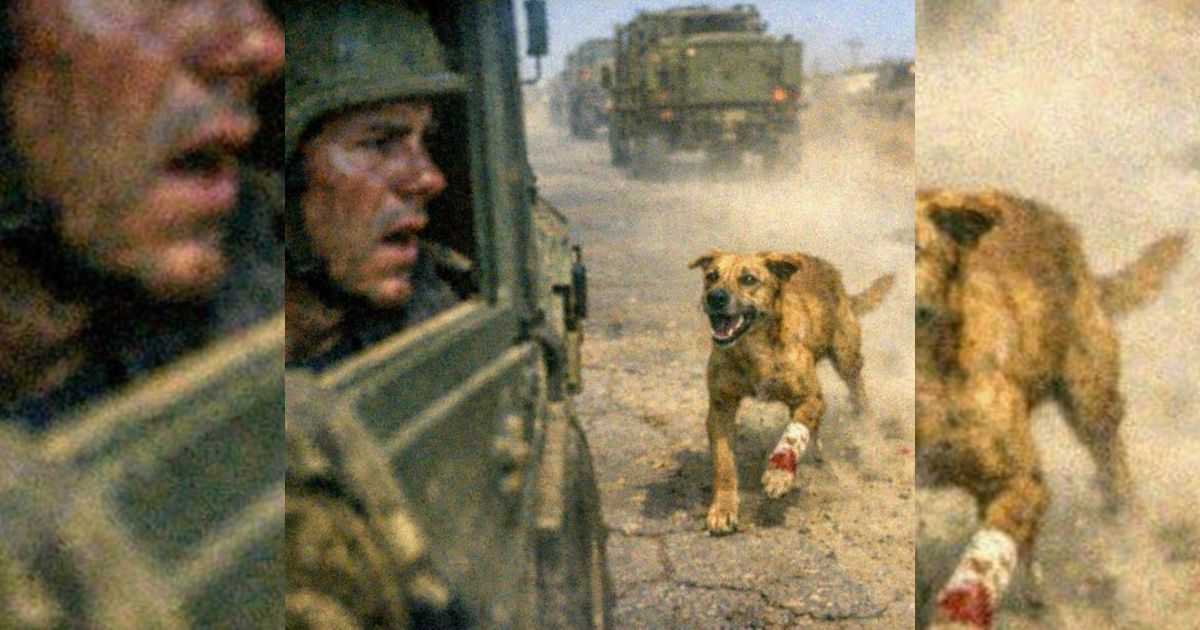El perro flaco corrió tras el convoy militar sin ladrar… y la orden final dejó a todos sin aliento