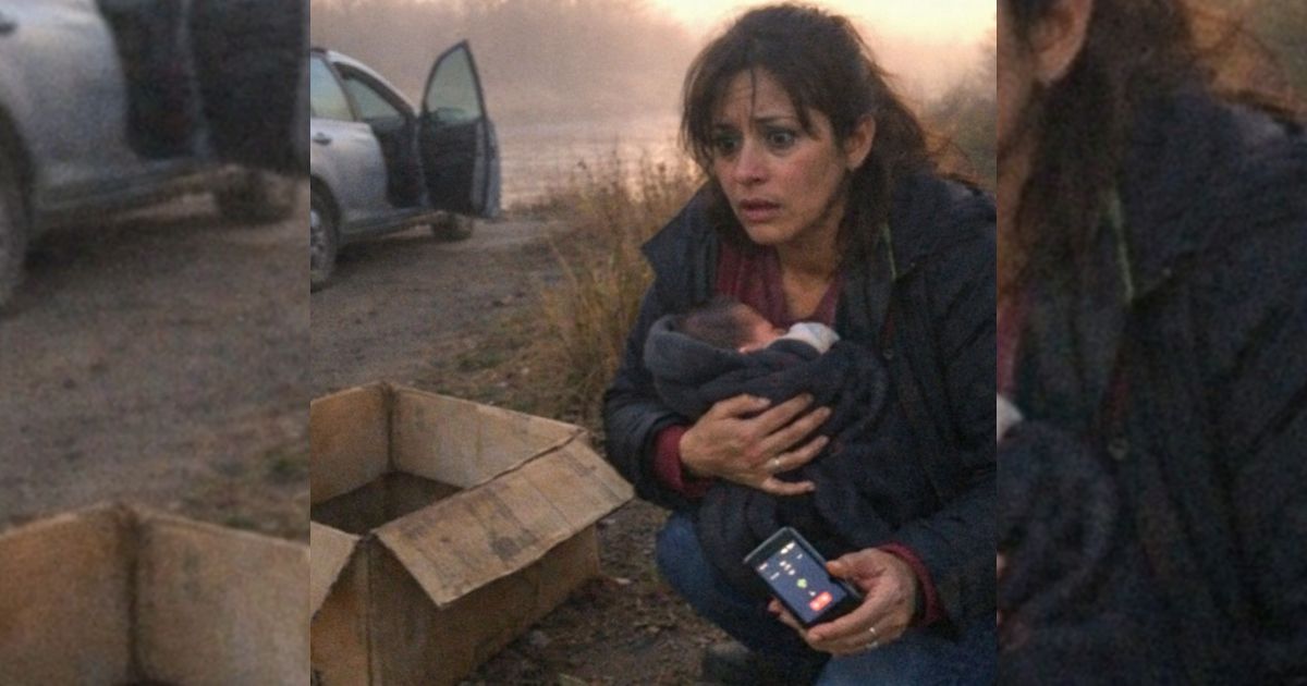 Encontró una caja junto al río camino al juzgado… y lo que había dentro le cambió la vida para siempre