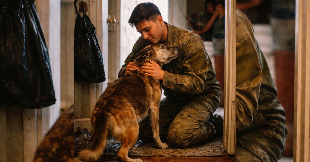 Regresó del servicio sin avisar… y lo que hizo el perro viejo al verlo dejó a todos sin aliento