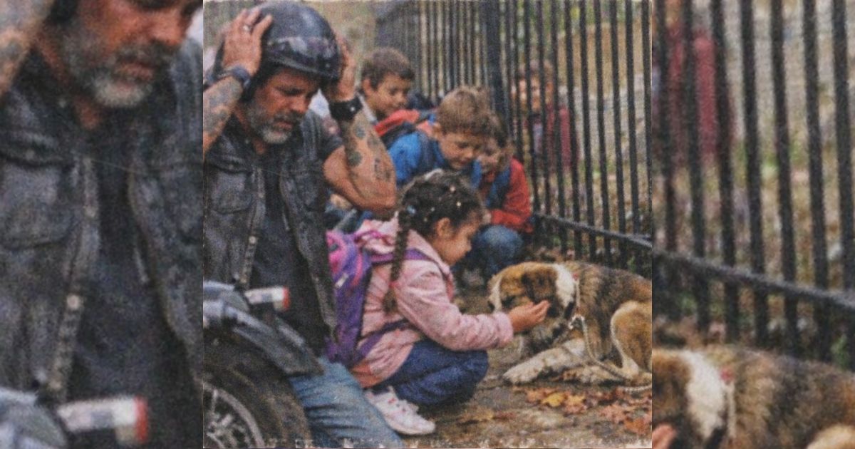 Un motociclista frenó frente a la escuela: el perro abandonado y los niños hicieron algo que nadie esperaba