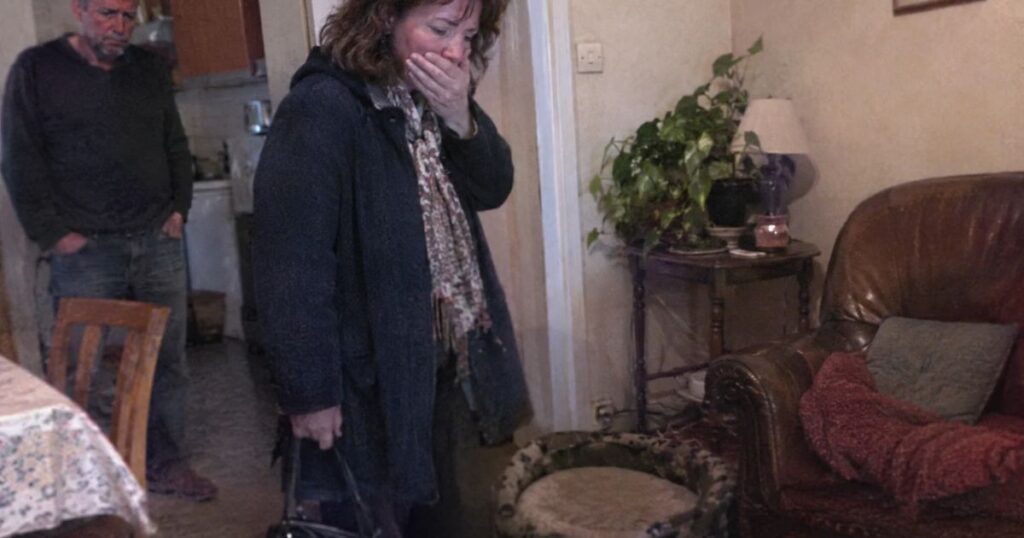 Deux jours après notre mariage, il a fait disparaître mon vieux chat sans me demander